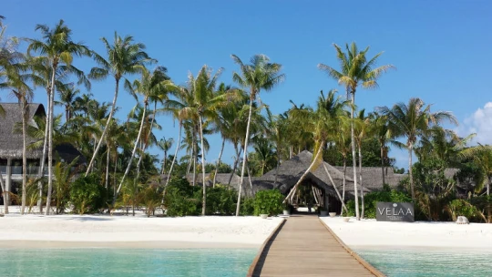 Šmejcovy malé divy. Podívejte se, jak si vede český ostrov snů