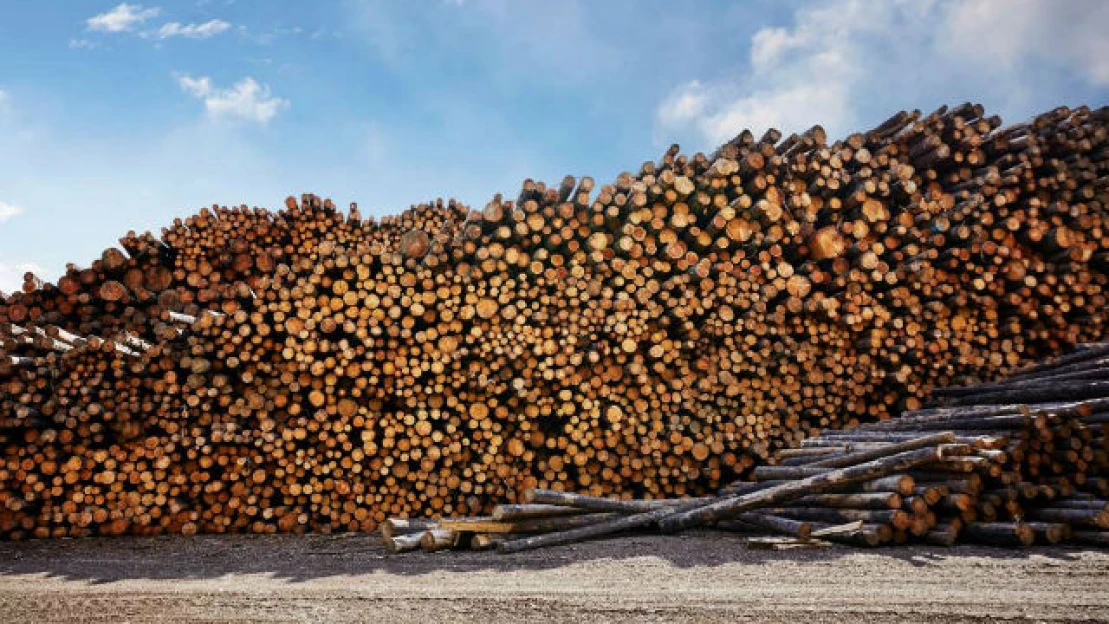 Evropané ve velkém topí dřevem. Kolem zásob staví nové ploty