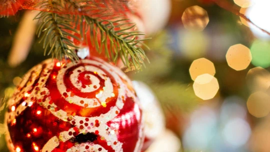 Jak se vyfotit u&nbsp;stromečku: pozor na prskavky a&nbsp;pořádně roztočte elektroměr