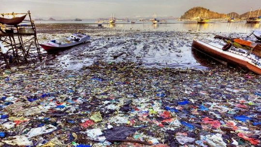 V roce 2050 bude v&nbsp;mořích více plastu než ryb, varuje nová výzkumná zpráva