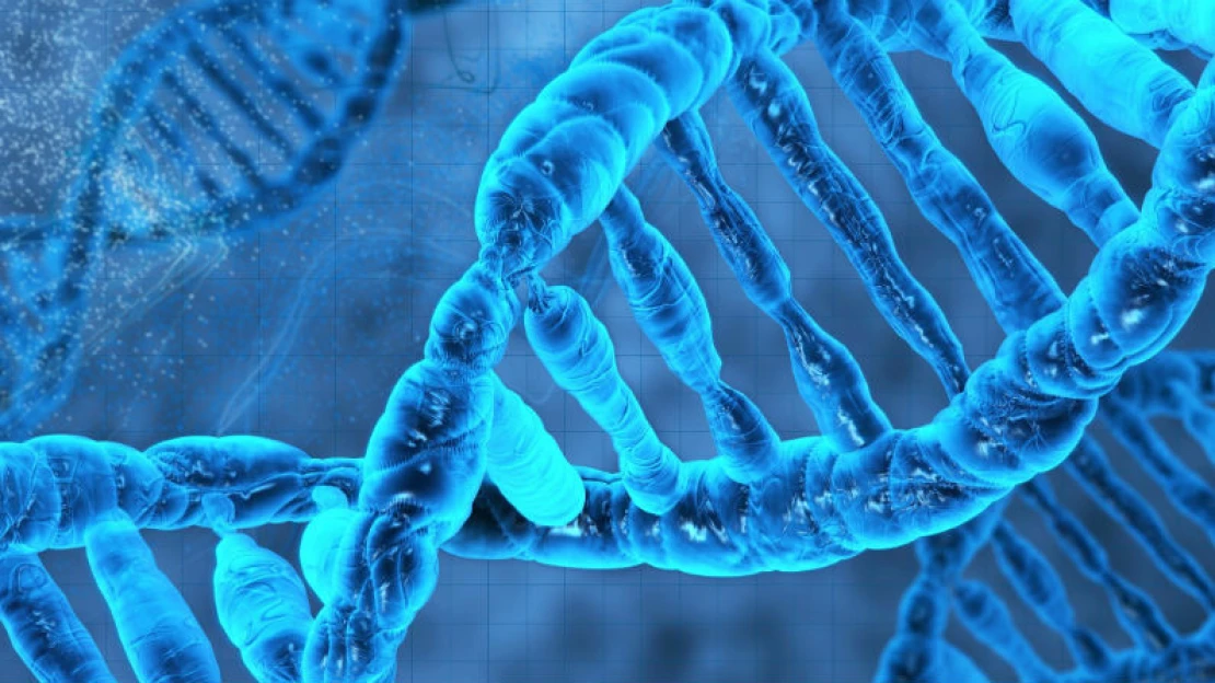 Čeští vědci učinili objev. Může rozšířit využití DNA v&nbsp;medicíně
