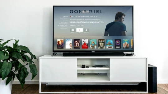 Češi šetří nejen na Netflixu. Videopirátství u&nbsp;nás o&nbsp;160 procent