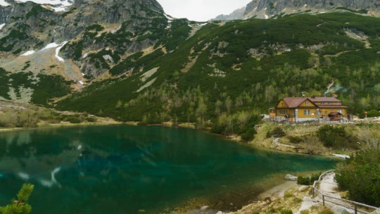 Energie schovaná na potom. Jak se česká firma vydala po&nbsp;stopách Muska