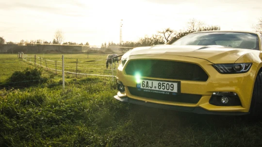 10 vychytávek Fordu Mustang, které splaší i&nbsp;vaše koně