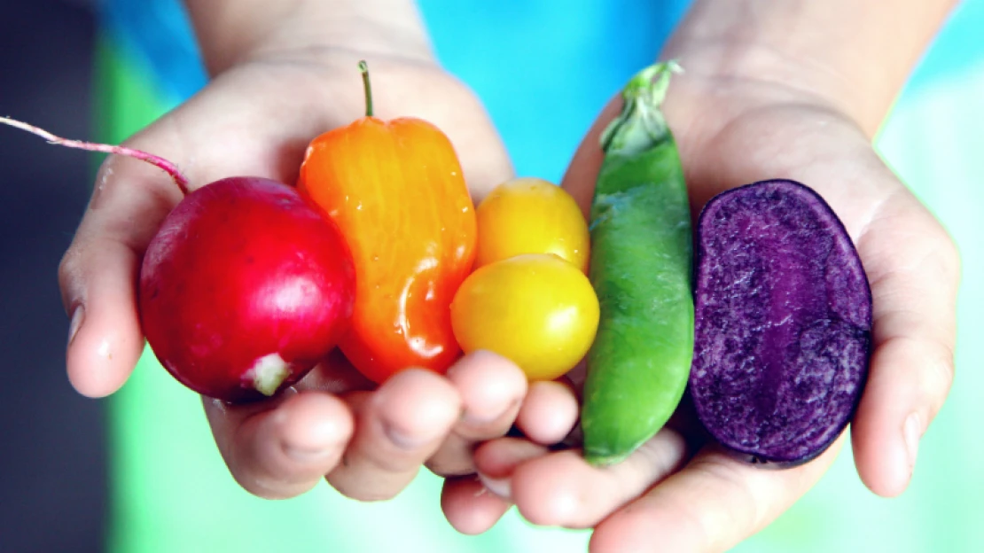Jak vytvořit LGBT friendly prostředí a&nbsp;proč se to firmám vyplatí