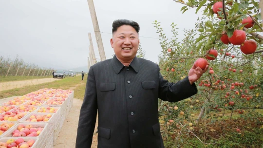 Ukradené kryptoměny za miliardy. Podle OSN je KLDR používá k&nbsp;financování zbrojních programů