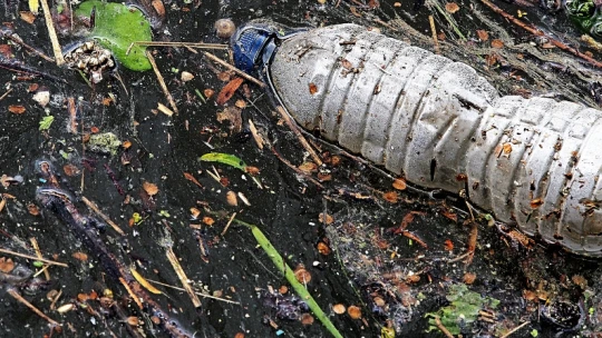 Zapomeňte na brčka. Největším znečišťovatelem oceánů jsou nedopalky