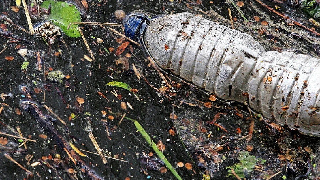 Zapomeňte na brčka. Největším znečišťovatelem oceánů jsou nedopalky