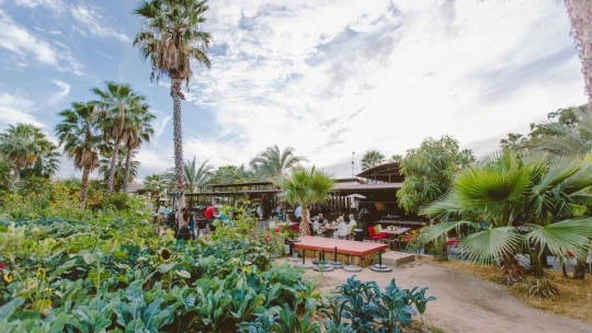 Rána pro mexický průmysl. Hurikán Otis způsobil miliardové škody