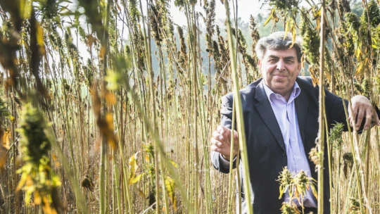 Rostlina budoucnosti. Příběh muže, který mění konopí v&nbsp;olej i&nbsp;mouku