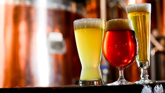 Lambik, Berliner Weisse i&nbsp;exotické kvasinky. Pivní styly, které jsou „in“