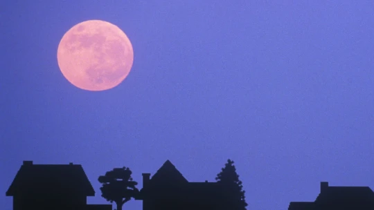 Forbes Cocktail: Co dělat na Velikonoce, když zůstáváte ve městě