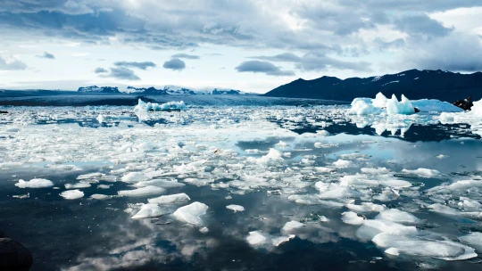 Klimatická krize ovlivní všechny investice, tvrdí hvězda hedgeových fondů
