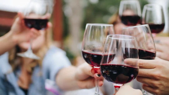 Trendy víno od sousedů. Do Prahy míří ty nejlepší naturální kousky ze Slovenska