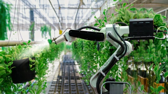 Severoamerické firmy kvůli silné poptávce a&nbsp;nedostatku lidí urychlují robotizaci