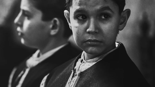 Ptáče nevyhrálo. I tak mohou Benátky Marhoulovi otevřít cestu k Oscarům