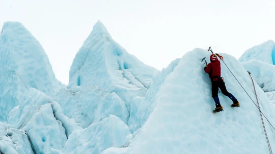 Jak se zlepšit v jakékoli dovednosti? Cvičte ji v různých podmínkách