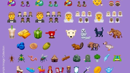 Transgender vlajka i náhrobní kámen. Toto jsou nová emoji pro rok 2020