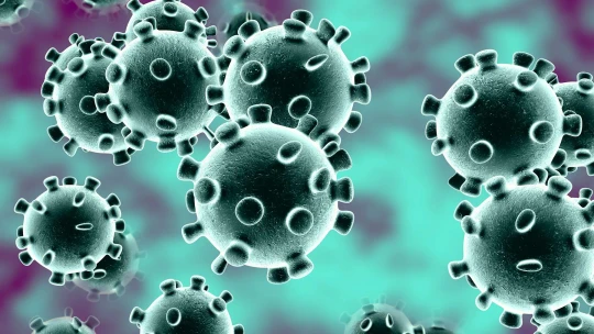 Byznys s&nbsp;nadějí. Firmám hledajícím lék na koronavirus se prozatím uzdravily jejich akcie