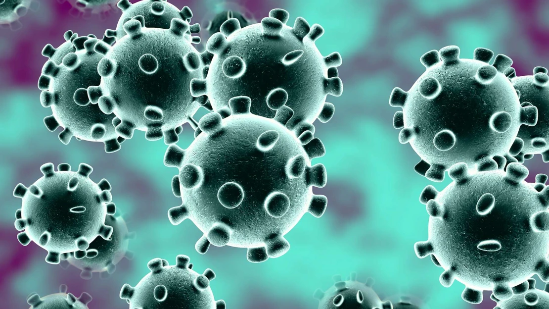 Byznys s&nbsp;nadějí. Firmám hledajícím lék na koronavirus se prozatím uzdravily jejich akcie