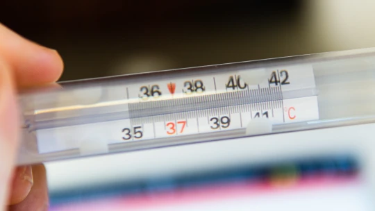 Jste zdraví a&nbsp;vracíte se z&nbsp;dovolené? Nahlaste se do karantény