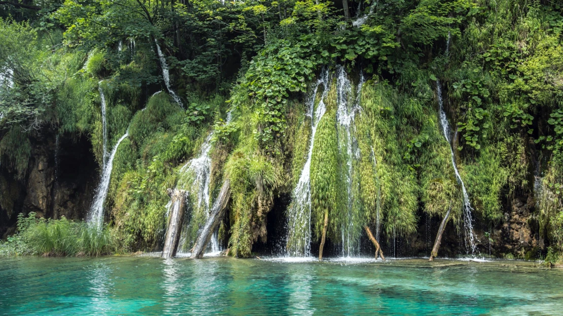 Chybí vám v karanténě zvuky přírody? Poslechněte si les, džungli nebo burácející vodopád
