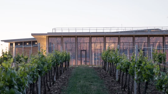 Amfiteátr mezi vinicemi. Prohlédněte si novou budovu Vinařství Lahofer od architektů Chybík + Krištof
