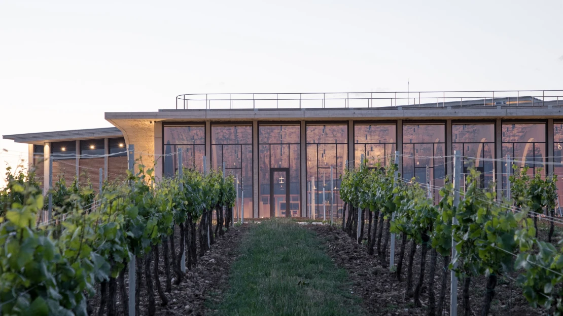 Amfiteátr mezi vinicemi. Prohlédněte si novou budovu Vinařství Lahofer od architektů Chybík + Krištof