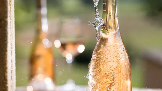 Nejlepší rosé pochází z&nbsp;Provence. Kam se za ním vydat?