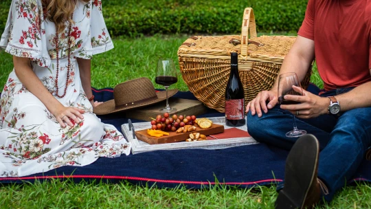 Rozestup na dvě bagety. Jak uspořádat šik a&nbsp;bezpečný piknik