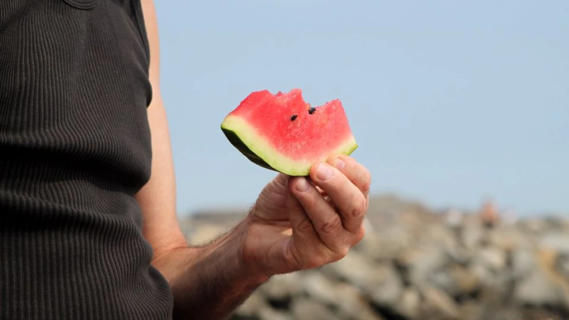 Melouny z&nbsp;Dubaje? Norský startup chce měnit poušť v&nbsp;úrodnou půdu