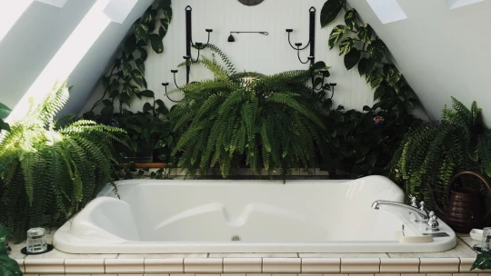 Co znamená starat se o sebe? Zajděte si k zubaři a požádejte ostatní o pomoc