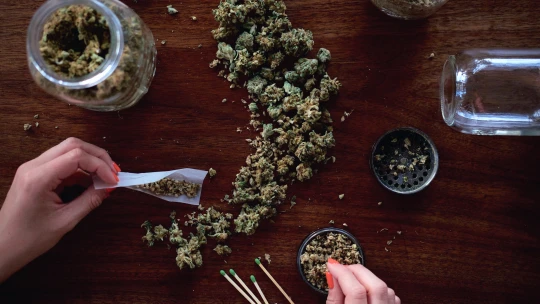 Marihuana na objednání. Společnost Uber Eats v&nbsp;Kanadě přidá konopné produkty do své aplikace