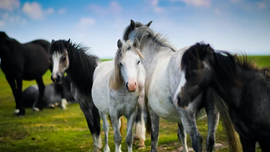 Kam na výlet v babím létě? Tohle jsou tipy na neotřelá místa kousek od Prahy