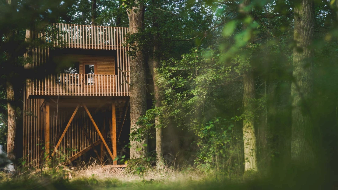 Vzhůru na Stromovny. Unikátní domek v&nbsp;lese má plno i&nbsp;díky pandemii