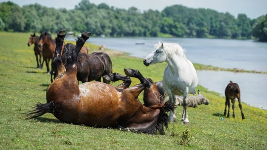Kam vyrazit na výlet, když je všude zavřeno. Tady jsou neotřelá místa, kde nepotkáte davy