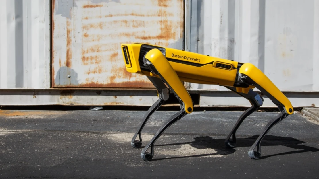 Vědci z&nbsp;ČVUT přivezou do Česka robopsy Spot. Platí to americká vláda