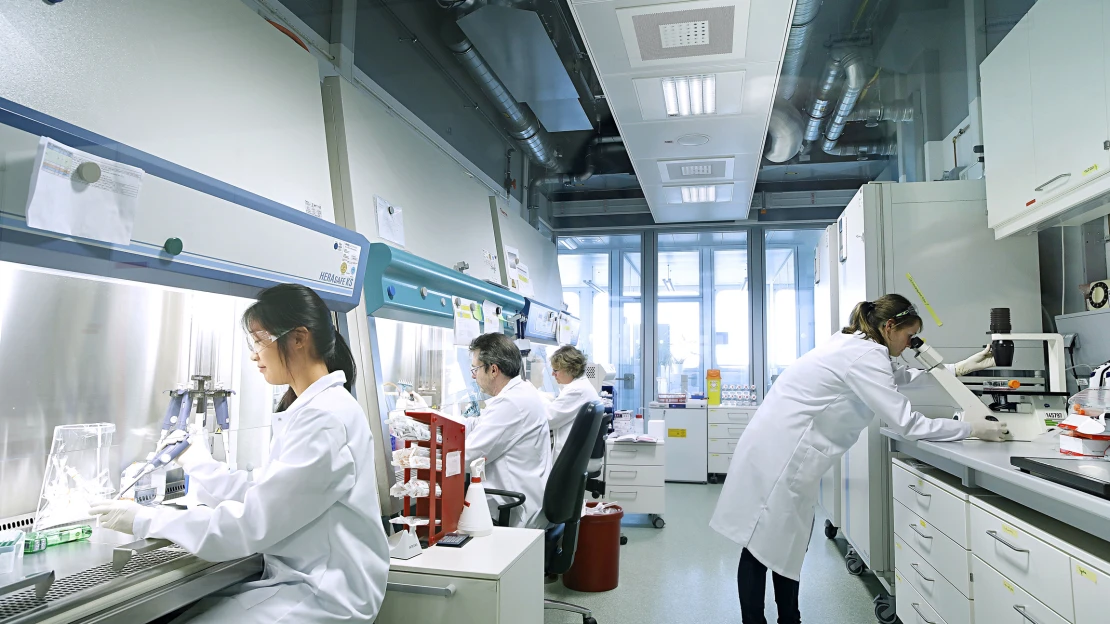 Více než 11 miliard dolarů za urovnání glyfosátové aféry. Bayer hlásí nejhorší výsledek v&nbsp;historii