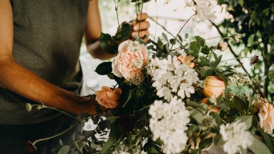 Změnili český trh s&nbsp;květinami. Teď chce Květinové lahůdkářství zaplavit růžemi Skandinávii