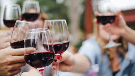 Malí vinaři trpí. Češi během pandemie nakupují víno v&nbsp;supermarketu