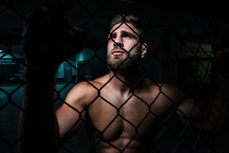 Jiří Procházka, MMA