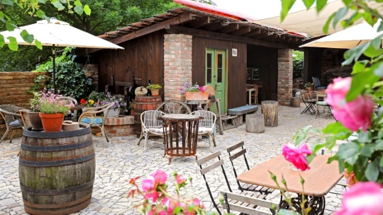 Kam na zahrádku? K Lasíkům do Únětic. Na pivo, polévku a koláče. Sladké i slané