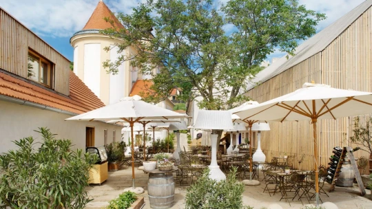 Kam na zahrádku? Užijte si na Pálavě lokální kuchyni i historii kávy