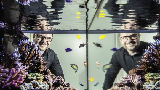 Oceán v obýváku. Za pět milionů vám postaví i korálový útes