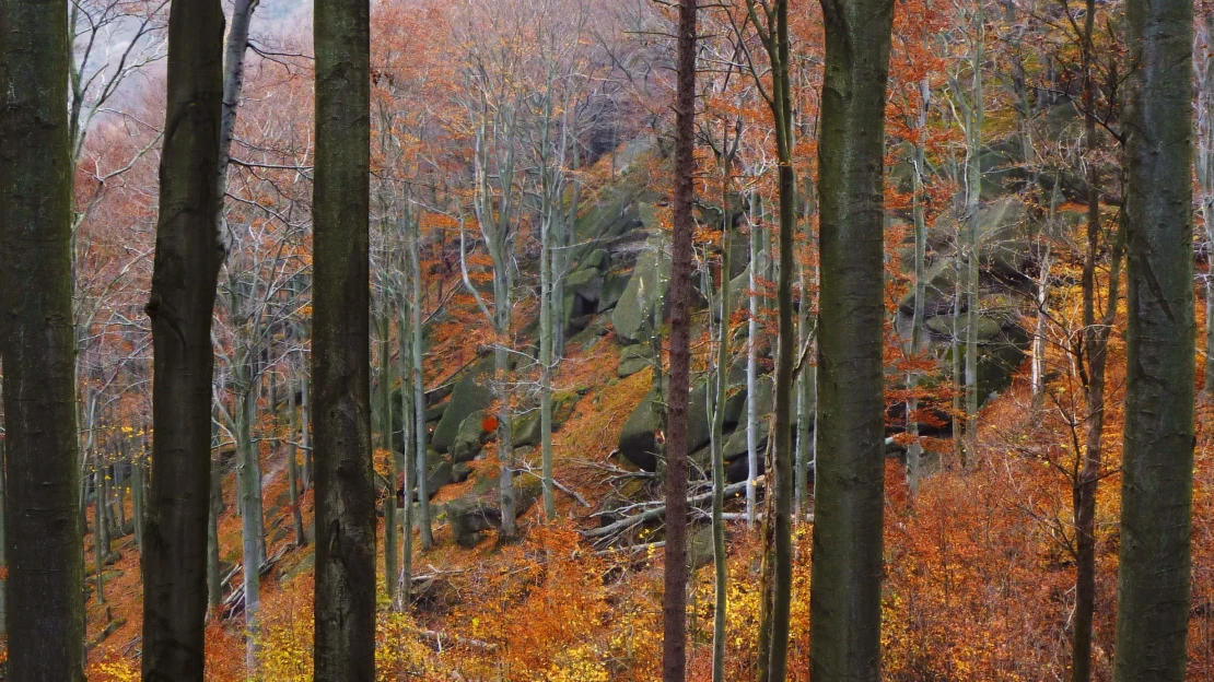 Yellowstone v&nbsp;Jizerkách. Seznam UNESCO je závazek, připomíná ochránce přírody