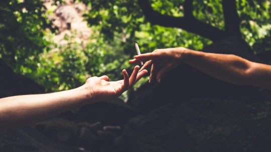 Joint venture. Marihuana už zajímá i&nbsp;tabákové firmy