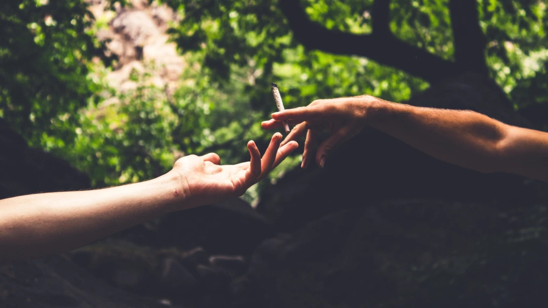 Joint venture. Marihuana už zajímá i&nbsp;tabákové firmy