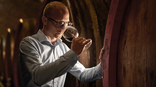 Dárek k narozeninám ho přivedl k vzácným vínům. Teď ho jejich prodej živí