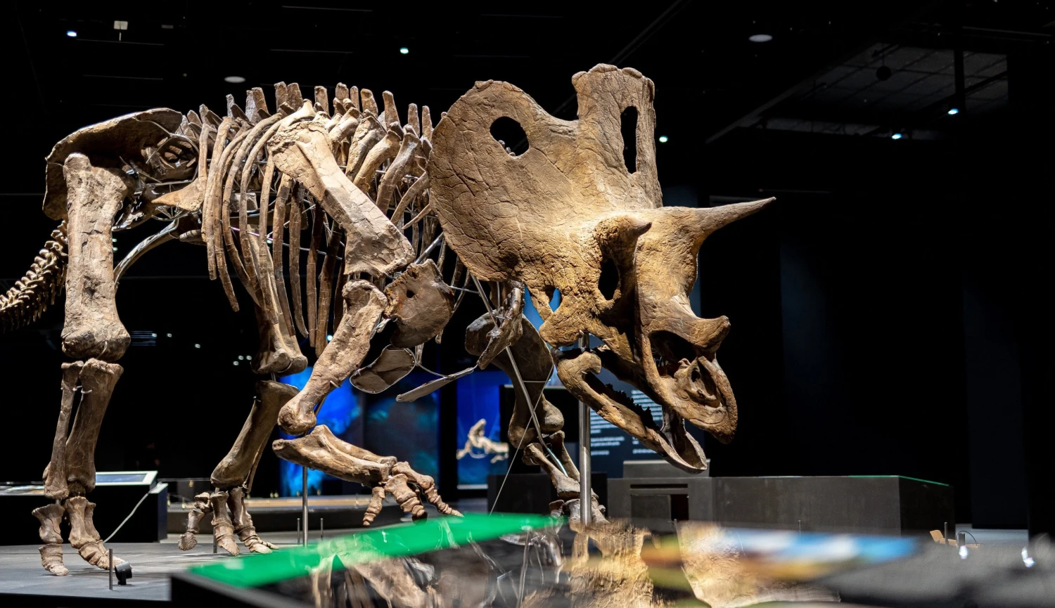 Dinosauří byznys. Proč se investice miliardáře Pražáka do pravěku může vyplatit