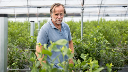 Supermarkety je zklamaly. Karel Roden i&nbsp;další farmáři proto zkoušejí štěstí s&nbsp;aplikacemi